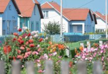 В субботу, 29 августа, агрогородок Положевичи приглашает на праздник деревни