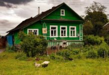 За одну базовую: в Минской области за квартал продали 64 пустующих дома