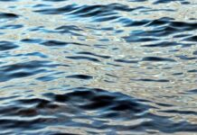 Отдых у воды: за что вас могут оштрафовать на пляже