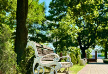 Летние мотивы города — в объективе нашего фотографа