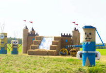 Голосование за лучшую соломенную фигуру продолжается