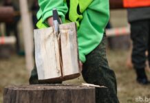 IV Чемпионат по колке дров пройдет на берегу водохранилища «Вяча»