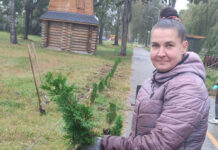 Работники Стародорожского ЖКХ высадили более 250 деревьев