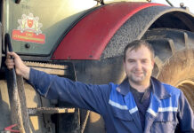 В «Стародорожском» нашли решение, какие культуры выращивать на песчаных почвах для хорошего урожая