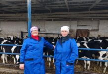 Как растят высокоудойных буренок на товарной ферме №1 «Арэса-агро»?