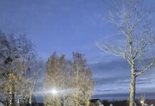 «Уличные фонари работают слабовато, пешеходы выходят на проезжую часть буквально из темноты, особенно в районе Евроопта»