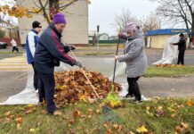 В Старых Дорогах высадили более 1200 саженцев и провели «большую уборку»