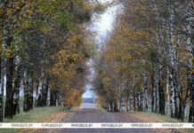 Ждем мокрый снег? Погода на субботу не радует