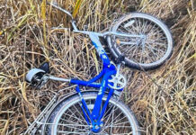Пешая группа нашла велосипед пропавшего в Березинском районе подростка
