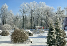 Морозно и без осадков будет сегодня в Беларуси