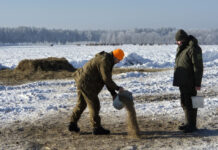 Какую помощь диким животным оказывает районная организационная структура Белорусского общества охотников и рыболовов