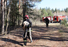 В Стародорожском районе прошли учения по тушению лесных пожаров