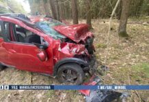 В Пуховичском районе водитель погиб, пытаясь объехать выбежавшую на дорогу косулю