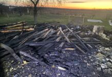 В пятницу в Щитковичах и Подоресье произошли пожары