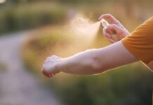 Осторожно, гнус! Жителей Минщины предупреждают о пике активности мошек