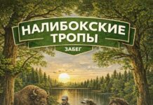 Забег «Налибокские тропы» пройдет в Воложинском районе 27 июня
