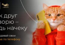 Информационная кампания «Дружеский совет» поможет быть начеку и избежать мошенников