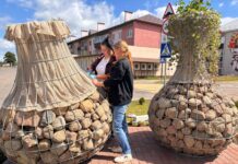 Яркий акцент: на улице Калинина в Старых Дорогах озеленяют декоративные вазы