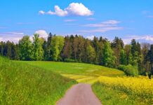 Сегодня отмечается Всемирный день охраны окружающей среды