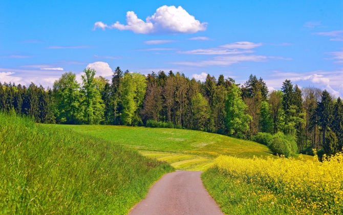 rabstol_net_summer_11