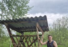 «Шведский стол» в лесу: охотоведы рассказали, какое лакомство обожают лоси и олени