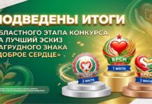 Школьник из Старых Дорог вошел в тройку лучших авторов нагрудного знака волонтеров БРСМ