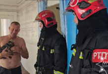 В Старых Дорогах спасатели помогли собаке, у которой лапка застряла в сливе раковины
