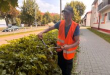 Коммунальные службы провели обрезку кустарников на городских улицах