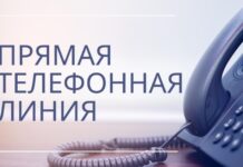Сенатор Инна Толкачёва проведет прямую телефонную линию