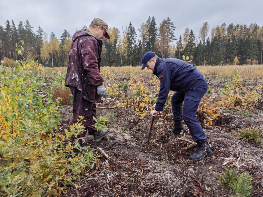 IMG_20261022_153413