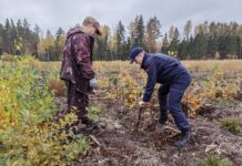 Коллективы суда и прокуратуры Стародорожского района присоединились к акции «Дай лесу новае жыццё!»